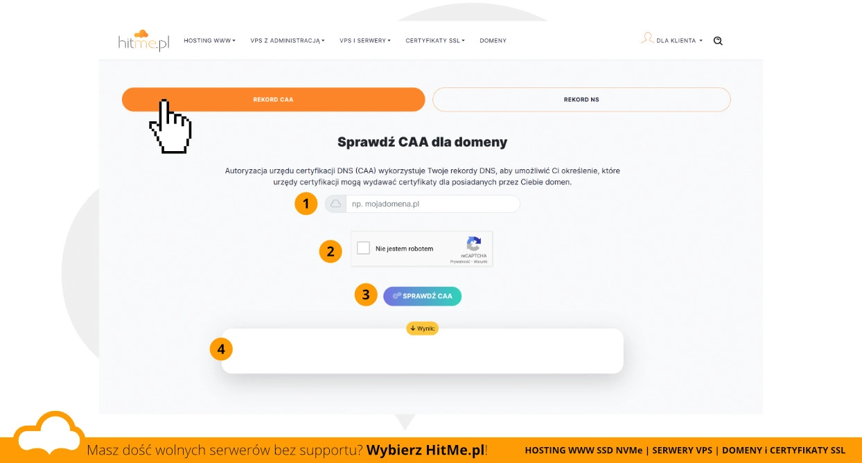 Test rekordu CAA dla domeny