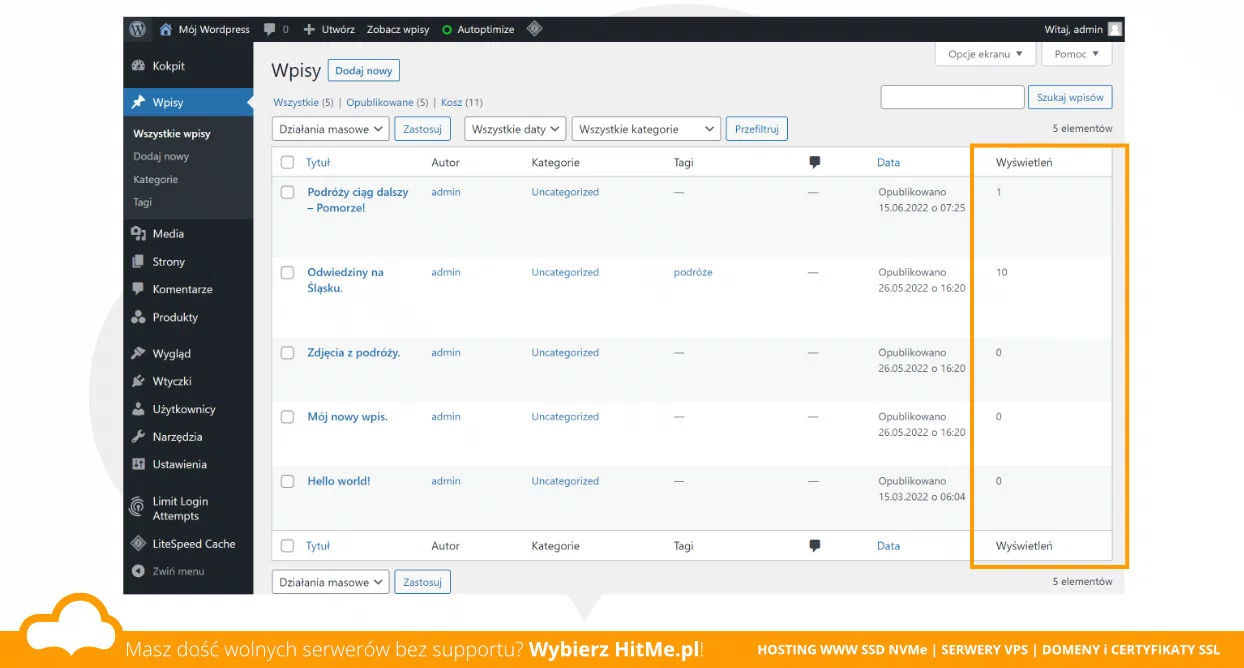 wordpress set post view