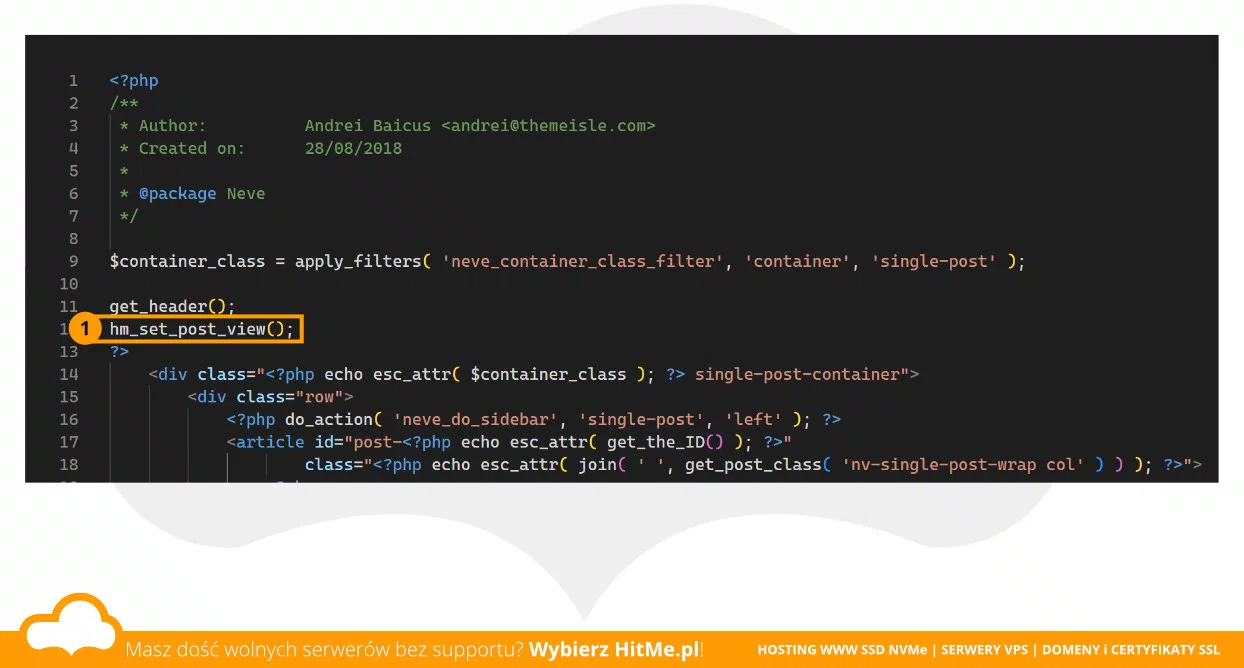 wordpress set post view