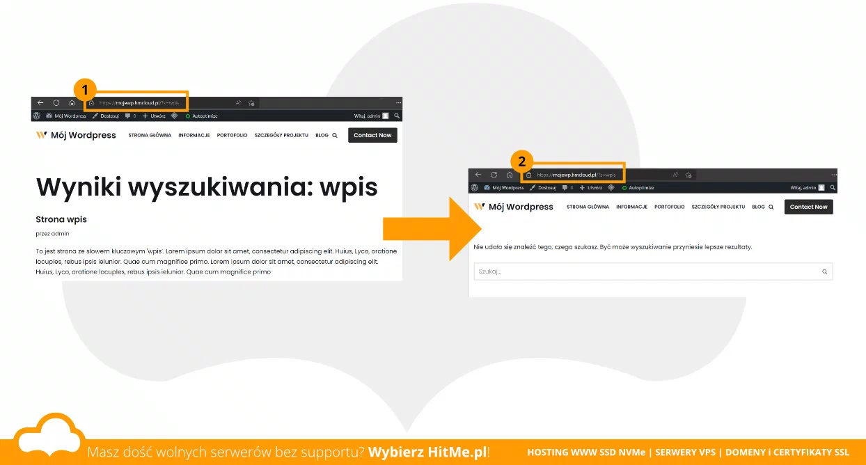 wordpress szukanie