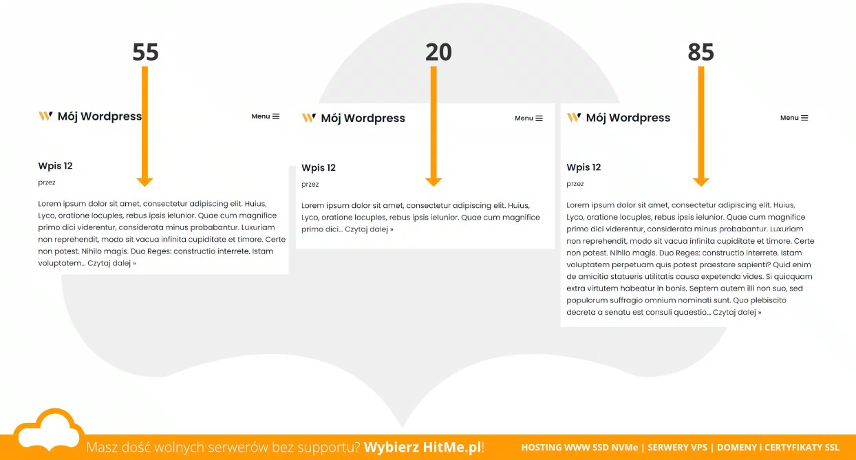 wordpress excerpt