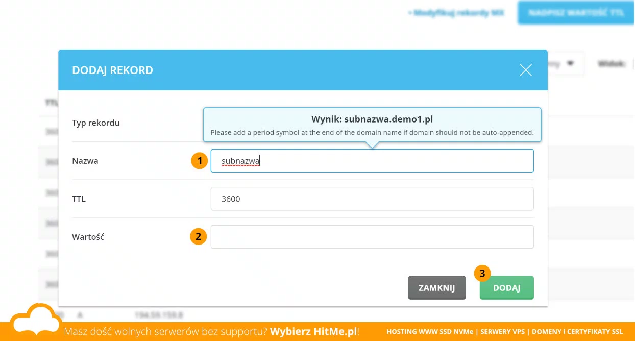 opcje DNS