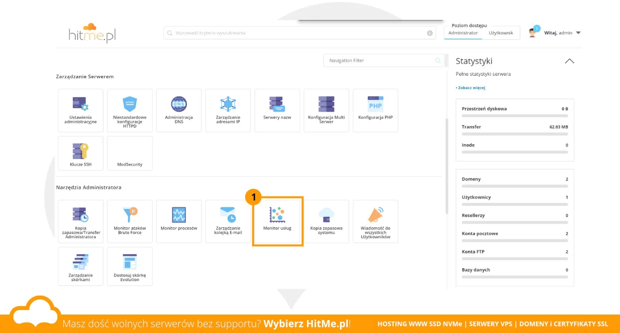 directadmin monitor usług