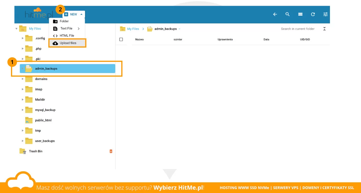 directadmin wgranie backup