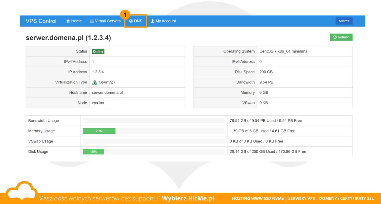 panel vps dns