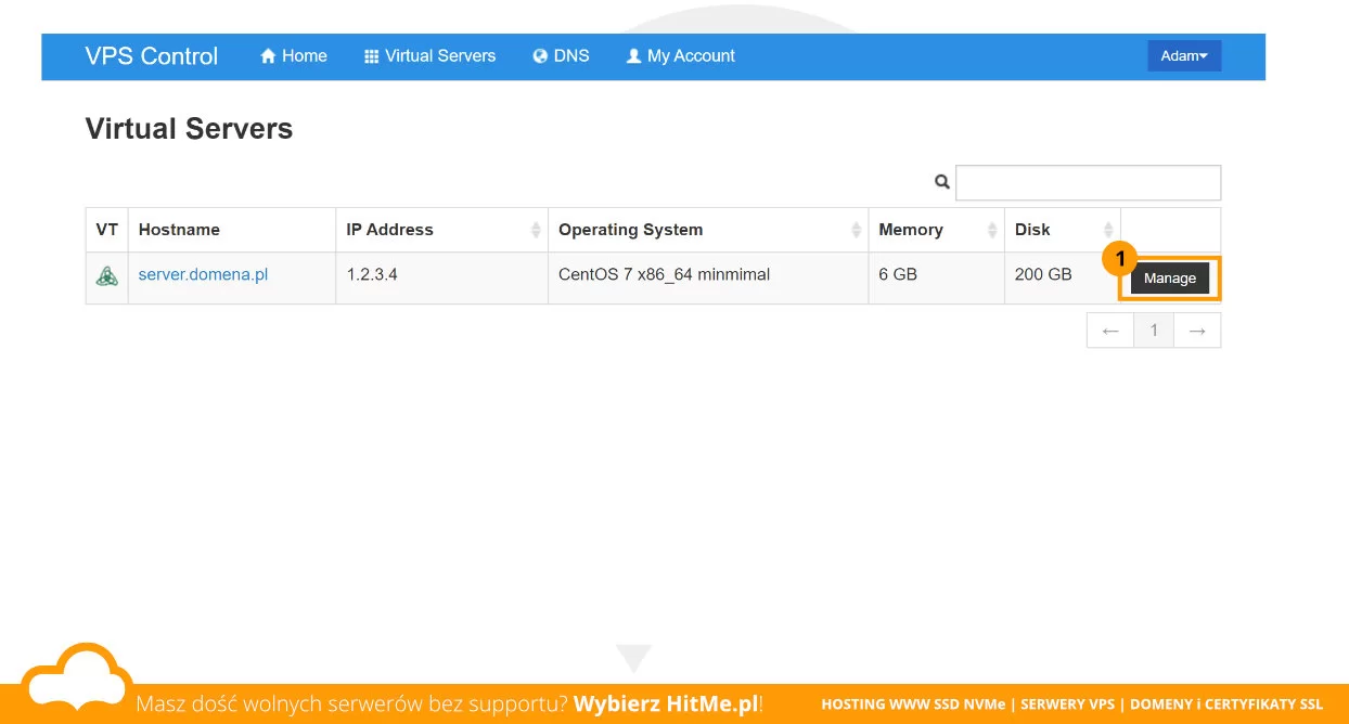 panel vps